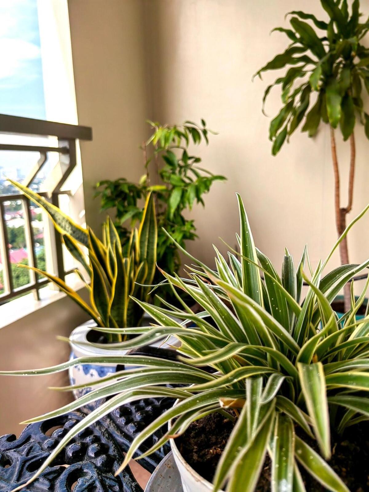 Elegant 2br Flat In Qc With Netflix And Parking!!
